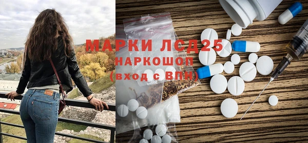 хмурый Верея
