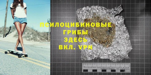 хмурый Верея