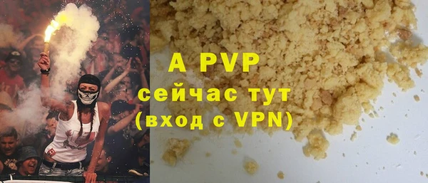 хмурый Верея