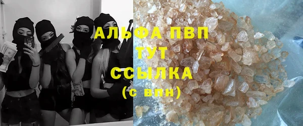 хмурый Верея