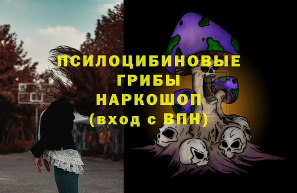 хмурый Верея
