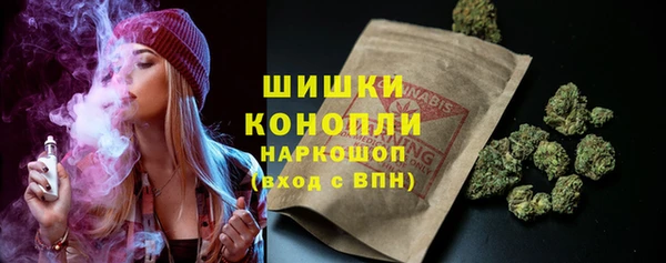 стаф Верхний Тагил